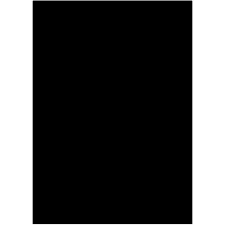 VISICO COLLAPSIBLE BLACK SCREEN FOR BACKGROUND SBP-1520