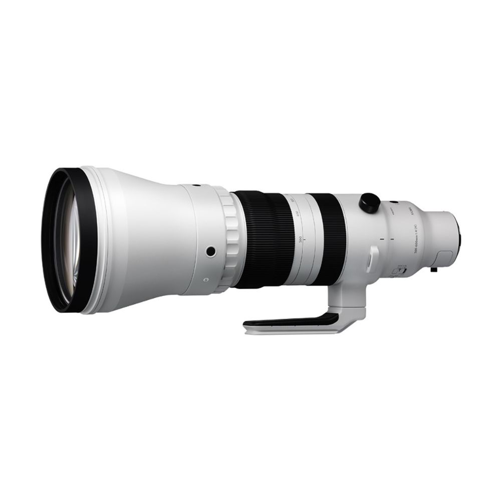 Sigma 300-600mm f/4 DG OS Sports Lens