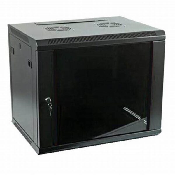 Generic 12U Networking Cabinet 600 × 450