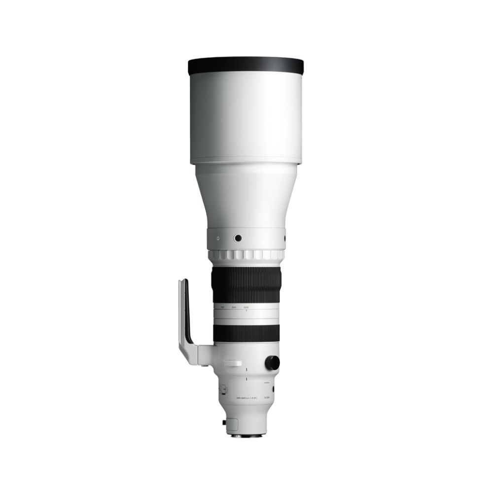 Sigma 300-600mm f/4 DG OS Sports Lens