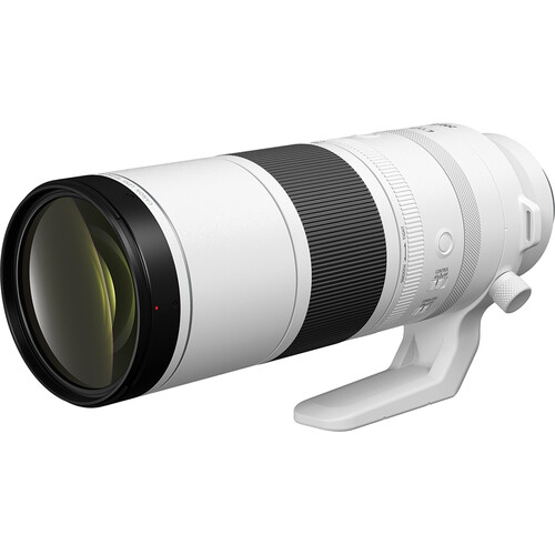 Canon RF 200-800mm f/6.3-9 IS USM Lens (Canon RF) - Gallery Image 2
