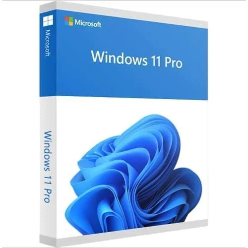 WINDOWS 11 Pro License