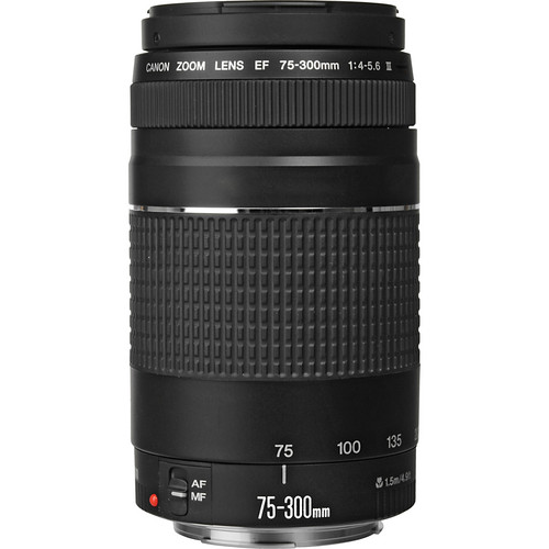 Canon EF 75-300mm f/4-5.6 III Lens - Gallery Image 2