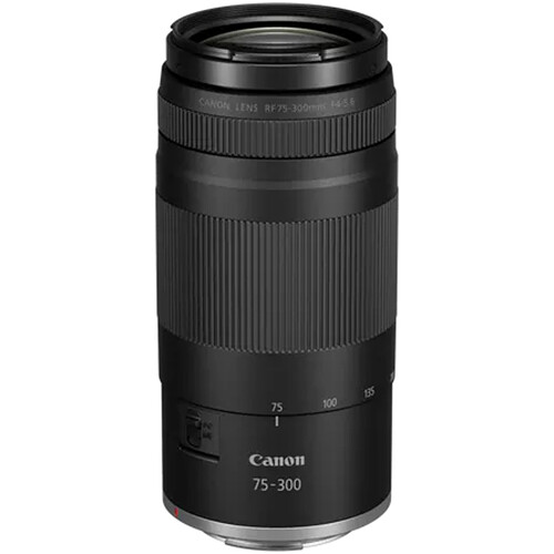Canon RF 75-300mm f/4-5.6 Lens (Canon RF) - Gallery Image 3