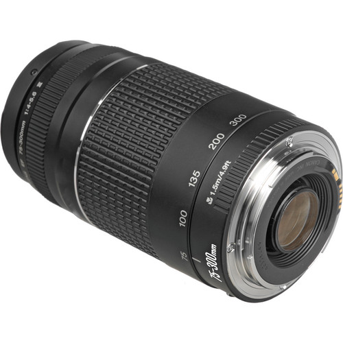 Canon EF 75-300mm f/4-5.6 III Lens - Gallery Image 3
