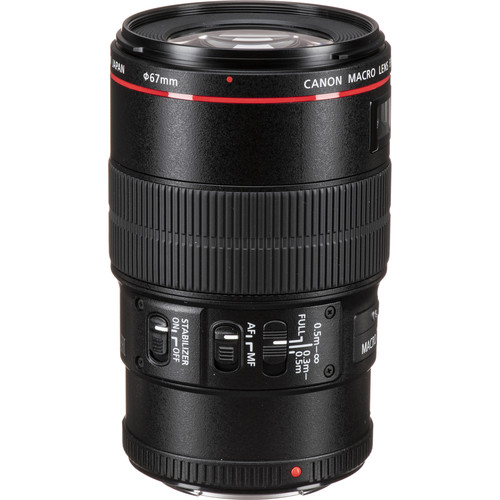 Canon EF 100mm f/2.8L Macro IS USM Lens - Gallery Image 2